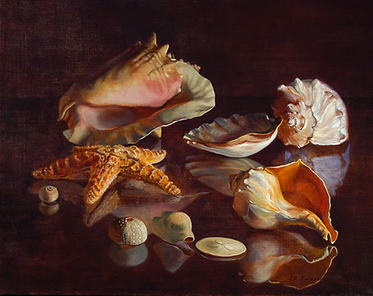 Shells with a Starfish