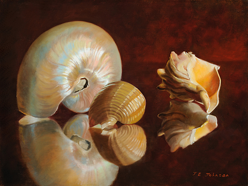 Three Reflected Shells